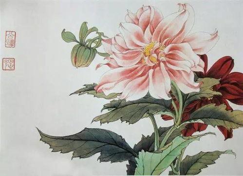 工笔花卉视频,视频教程深度解析