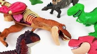 恐龙变成化石的视频,从生命奇迹到化石奇观