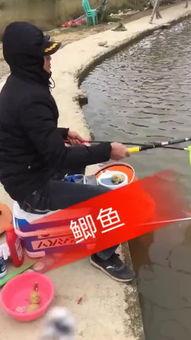 海里钓鱼视频,揭秘海里钓鱼的精彩瞬间
